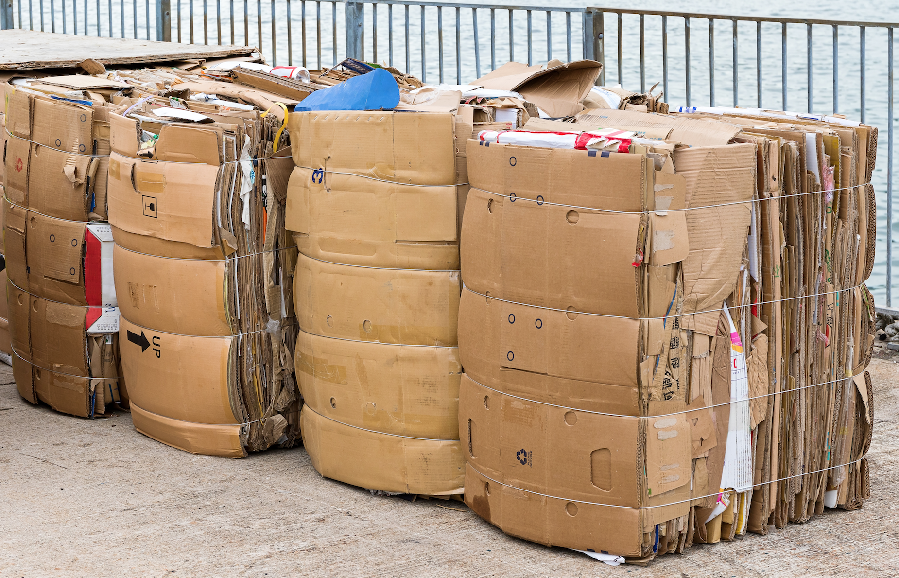 Sort market. Recycled paper. Clean Cardboard Bales.