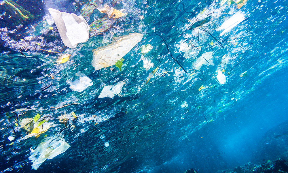 Study: Surface clean-up technology ‘won't solve ocean plastic problem’