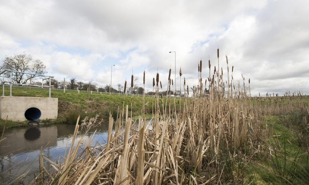 Research paves the way for studies on microplastics pollution