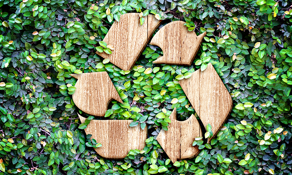 Statistics underline how far the wood recycling sector has come